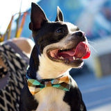Bow Tie Dog Collars - Emerald Plaid