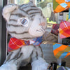 Bow Tie Cat Collars - Various Plaids