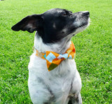 Bow Tie Dog Collars - Orange Argyle
