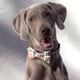 Bow Tie Dog Collars - Plaid Tan